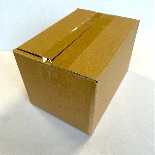 Sauterelles Locusta migratoria taille 4, petit, sceau